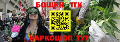 кокс Гатчина