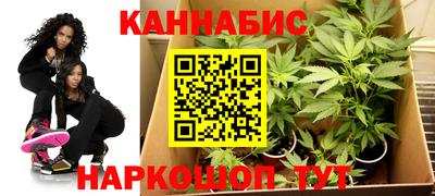 дурь Гай