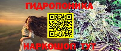 гашиш Гусиноозёрск