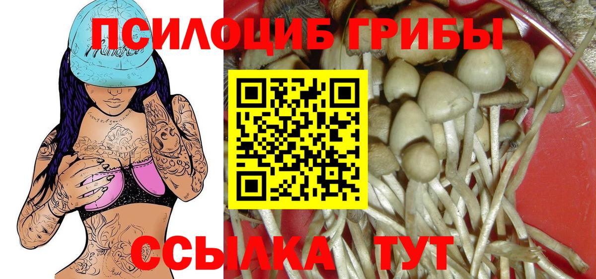 Галлюциногенные грибы GOLDEN TEACHER Кызыл