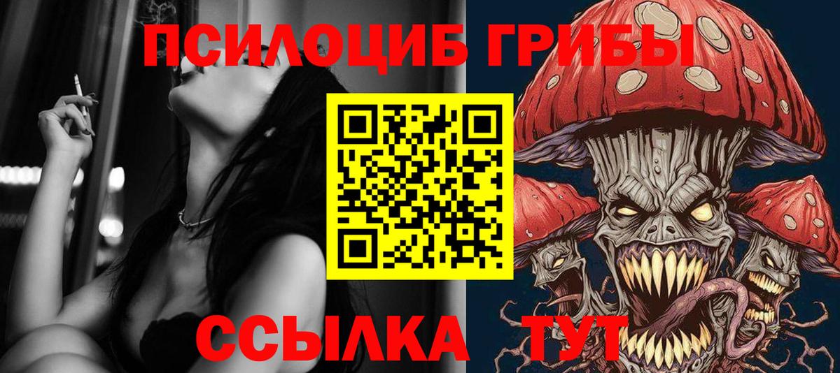 Галлюциногенные грибы Psilocybe  Вход с VPN  Кызыл  Псилоцибиновые грибы прущие грибы 